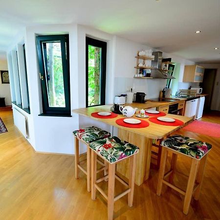Green Haven Roofgarden Penthouse In Central Area Bécs Kültér fotó